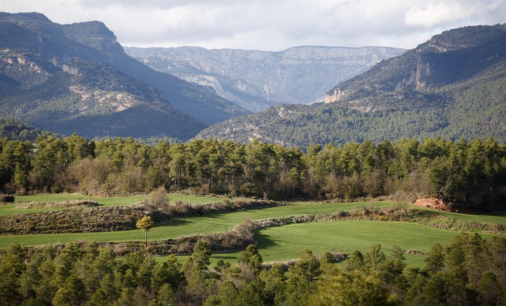 Masia Massanes Pension Tiurana Buitenkant foto