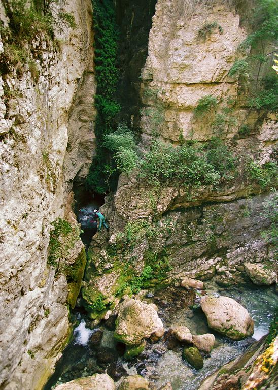 Masia Massanes Pension Tiurana Buitenkant foto